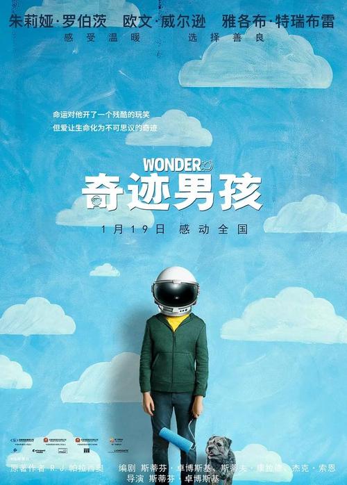 学历证书编号查询 毕业证